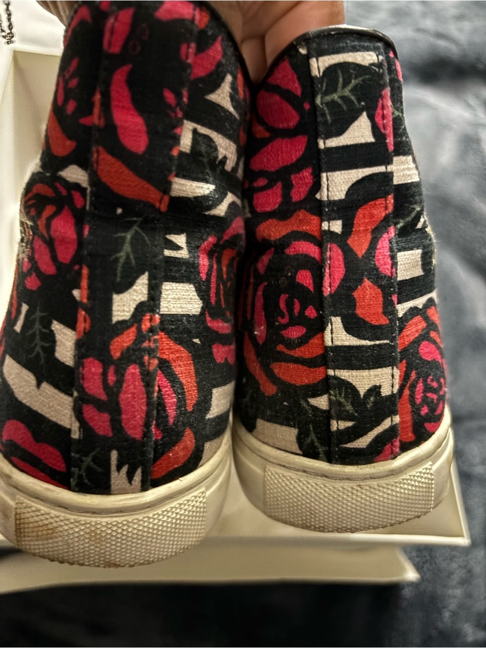 Charlotte Olympia Black Slip-On Sneakers with Pink & Red Rose Print